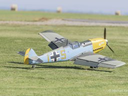 Holzwurmtreffen 2024